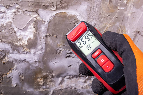 Best Health and Safety Mold Remediation in Braddock, VA
