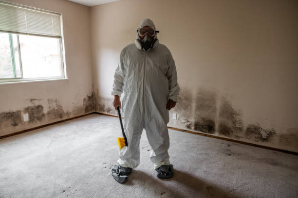 Best HVAC Mold Remediation in Braddock, VA